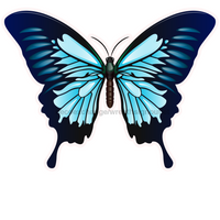 Thumbnail for Butterfly Blue Butterfly 22" Wood Door Hanger - DECOE-W-903734-DH