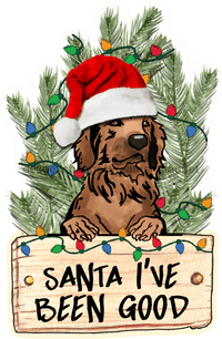 Thumbnail for Christmas Dog Sign Wood Sign Door Hanger Decoe-W-450 22