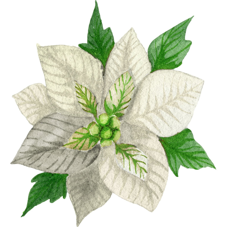 Christmas White Poinsettia 22" Wood Door Hanger - DECOE-W-903433-DH