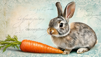 Thumbnail for Easter Rabbit Sign, DCO-13258, Sign For Wreath, 6x12
