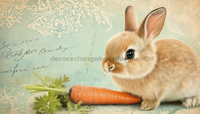 Thumbnail for Easter Rabbit Sign, DCO-13259, Sign For Wreath, 6x12