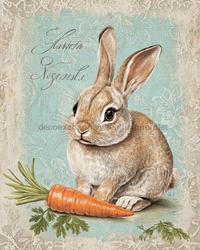 Thumbnail for Easter Rabbit Sign, DCO-13262, Sign For Wreath, 8x10