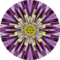 Thumbnail for Geometric Flower Center Purple Decoe-W-Fc-0014 6 Wood