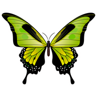 Thumbnail for Green Butterfly 14" Wood Wreath Sign - DECOE-W-903733