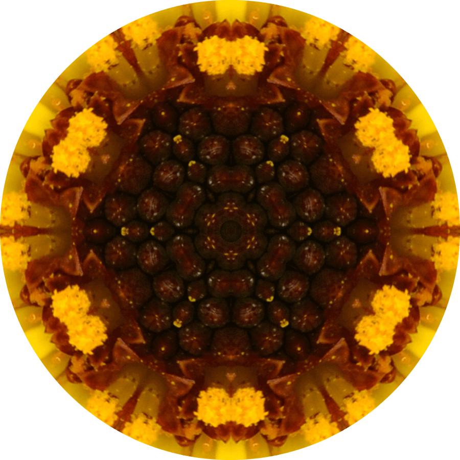 Geometric Flower Center Brown Decoe-W-Fc-0013 6 Wood