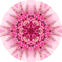 Thumbnail for Geometric Flower Center Pink Decoe-Fc-0007 6 metal
