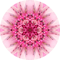 Thumbnail for Geometric Flower Center Pink Decoe-W-Fc-0007 6 Wood
