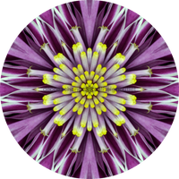 Thumbnail for Geometric Flower Center Purple Decoe-Fc-0014 6 metal