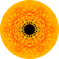 Thumbnail for Geometric Flower Center Yellow Decoe-Fc-0008 6 metal
