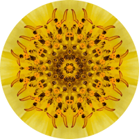 Thumbnail for Geometric Flower Center Yellow Decoe-Fc-0015 6 metal