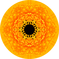 Thumbnail for Geometric Flower Center Yellow Decoe-W-Fc-0008 6 Wood