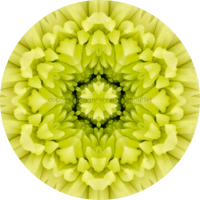 Thumbnail for Geometric Flower Center Yellow Decoe-W-Fc-0011 6 Wood