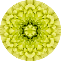 Thumbnail for Geometric Flower Center Yellow Decoe-W-Fc-0011 6 Wood