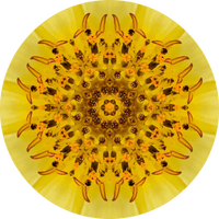 Thumbnail for Geometric Flower Center Yellow Decoe-W-Fc-0015 6 Wood