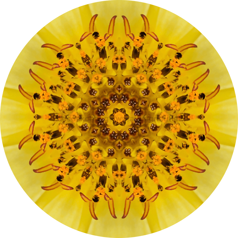 Geometric Flower Center Yellow Decoe-W-Fc-0015 6 Wood